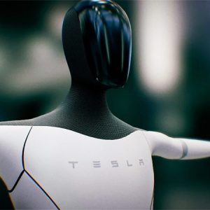 Tesla-Bot