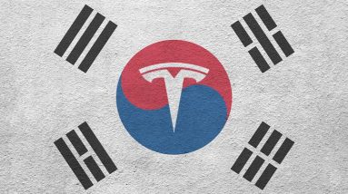 Tesla-Korea