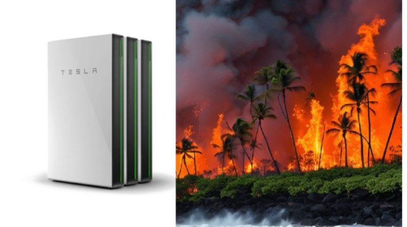 La Mission Audacieuse d'Elon Musk : Reconstruire Hawaï au Milieu des Incendies Dévastateurs