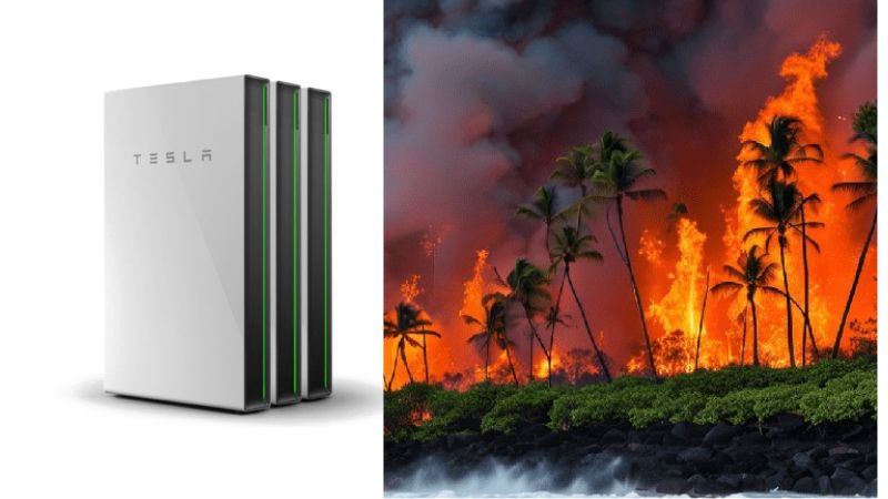 La Mission Audacieuse d'Elon Musk : Reconstruire Hawaï au Milieu des Incendies Dévastateurs